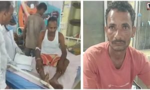 Surguja Bee Attack