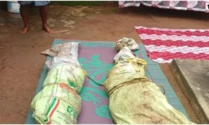 Surguja Crime