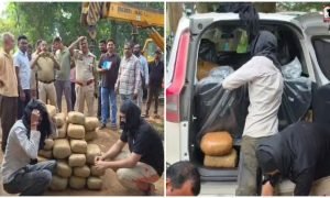 Surguja Hemp Smuggling