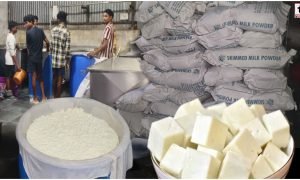 Synthetic Paneer