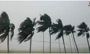 Today Weather