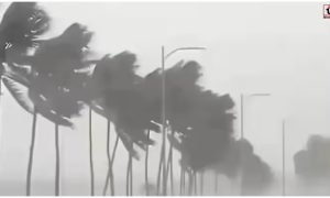 Today Weather