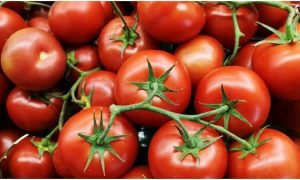 Tomato and Kidney Stone