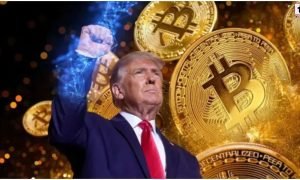 Trump Crypto Income