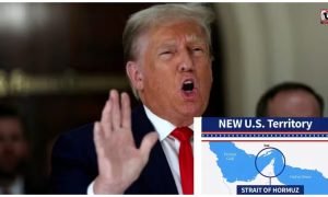 Trump Hormuz Map