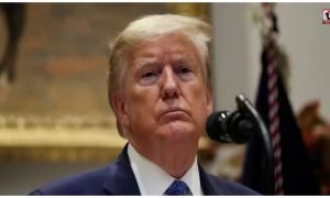 Trump News