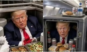 Trump Plane Switch