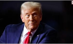 Trump Popularity Report