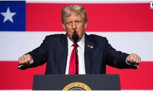 Trump Tariff News