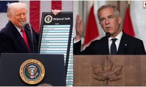 Trump Tariff
