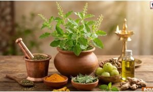 Tulsi Benefits