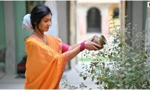Tulsi Plant Vastu