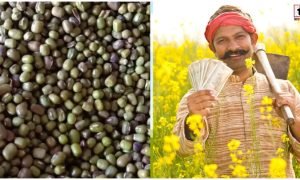 Urad MSP 2026