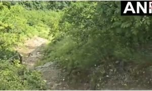 Uttarakhand Accident