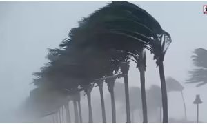 Weather Alert