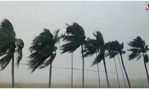 Weather Today