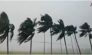 Weather Today