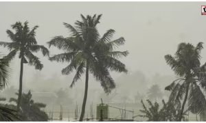 Weather Today 4 August