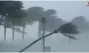 Weather Update