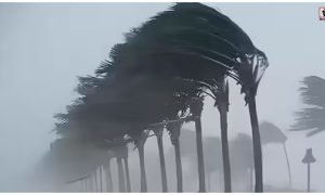 Weather Update