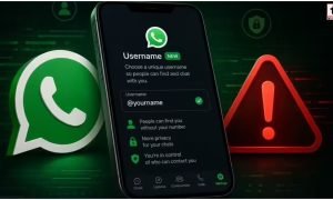 WhatsApp Feature