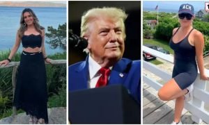 White House News