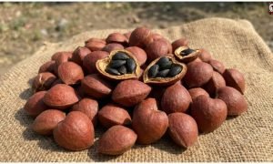 Wild Almond
