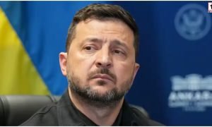 Zelensky-Fedorov Rift