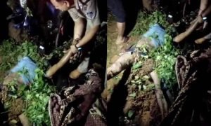 Gwalior accident news : ग्वालियर में दर्दनाक हादसा: तेज रफ्तार कार ने कांवड़ियों को कुचला, 4 की मौत, कई घायल